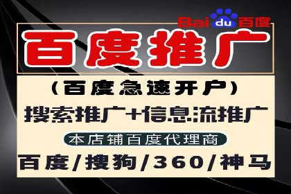 案例展示：SEM公司助力企业实现市场拓展与品牌提升